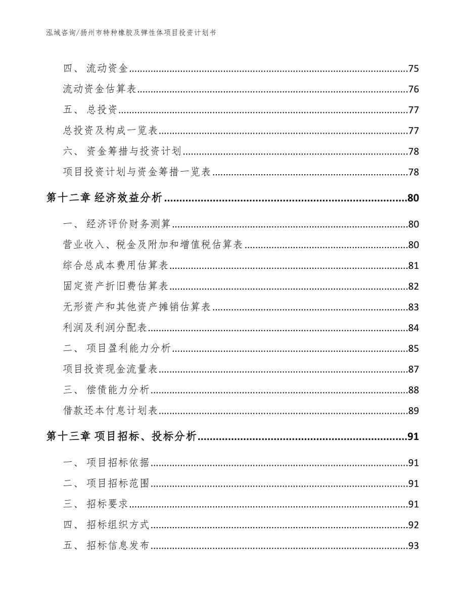 扬州市特种橡胶及弹性体项目投资计划书_第5页