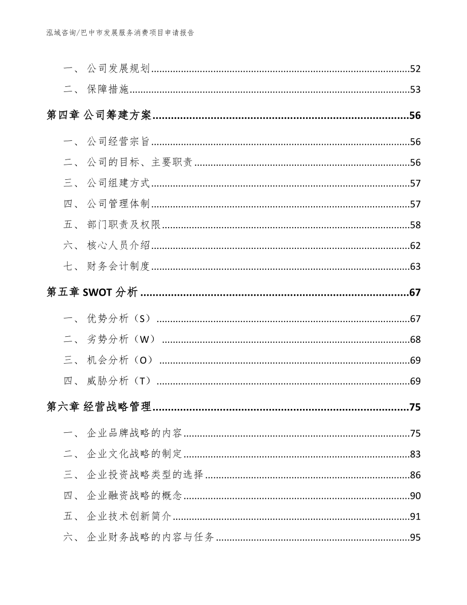 巴中市发展服务消费项目申请报告模板范文_第2页