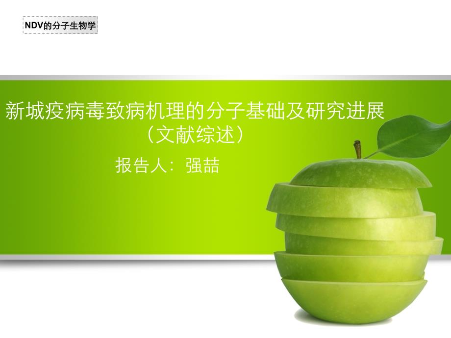 新城疫病毒介绍_第1页