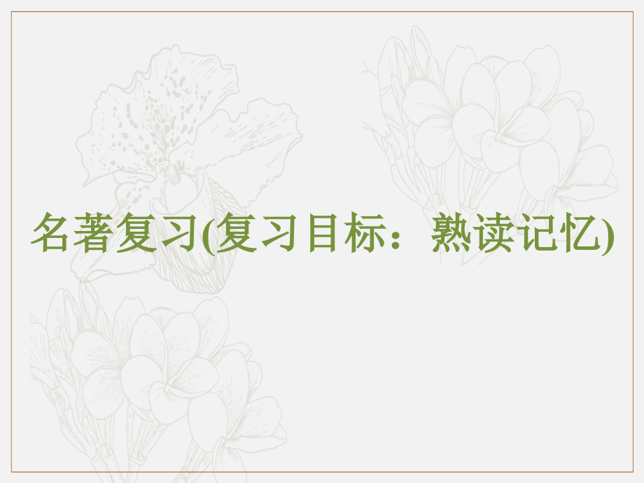 浙江省中考语文自主读背复习手册名著复习目标熟读记忆课件_第2页