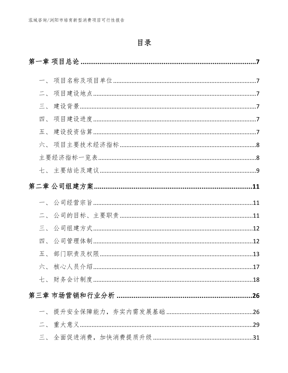 浏阳市培育新型消费项目可行性报告_第2页