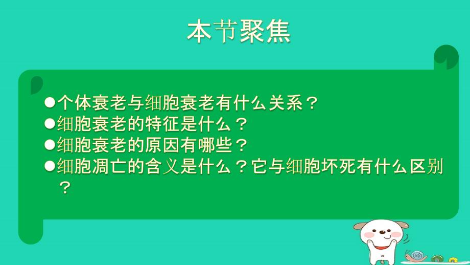 高中生物第六章细胞的生命历程6.3细胞的衰老和凋亡课件新人教必修1_第3页