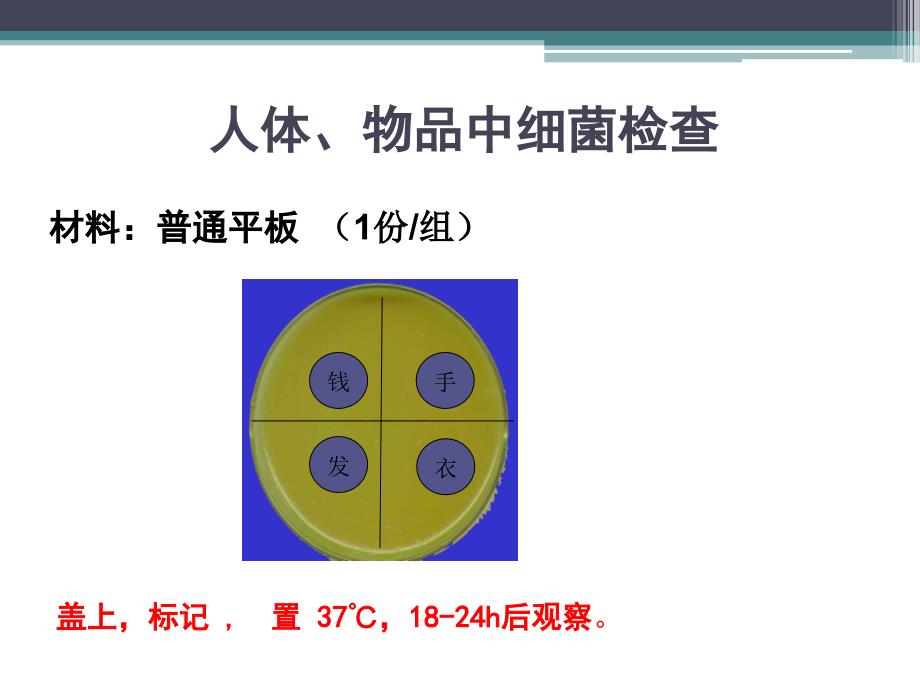 微生物实验-细菌培养、接种_第4页