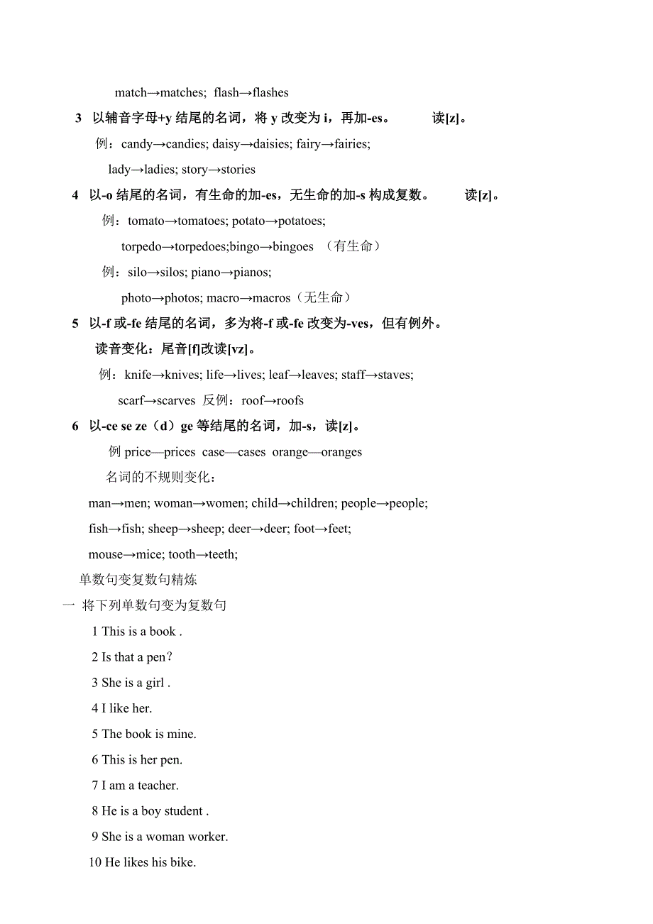 单数句变复数句(附练习及答案).doc_第3页