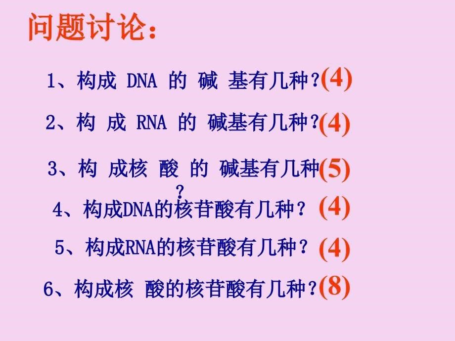 一轮复习DNA分子的结构与复ppt课件_第5页