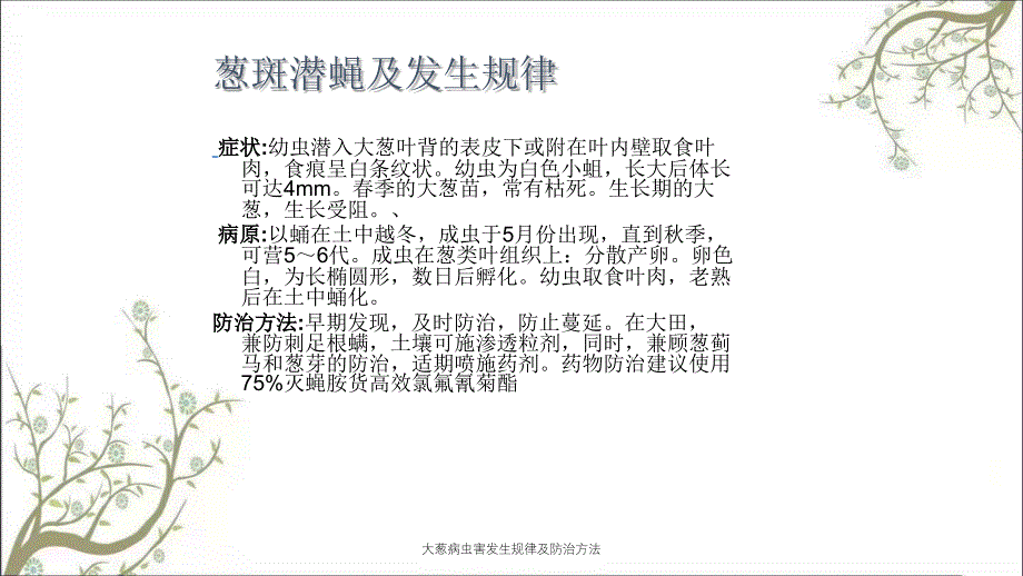 大葱病虫害发生规律及防治方法课件_第4页