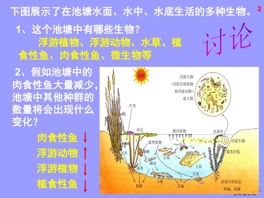 高二生物群落的结构课件_第2页