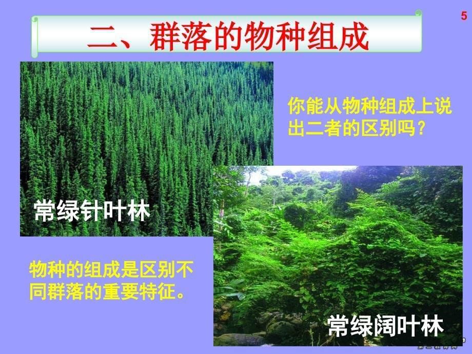 高二生物群落的结构课件_第5页