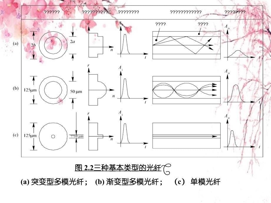 光通信技术高效应用第二章_第5页