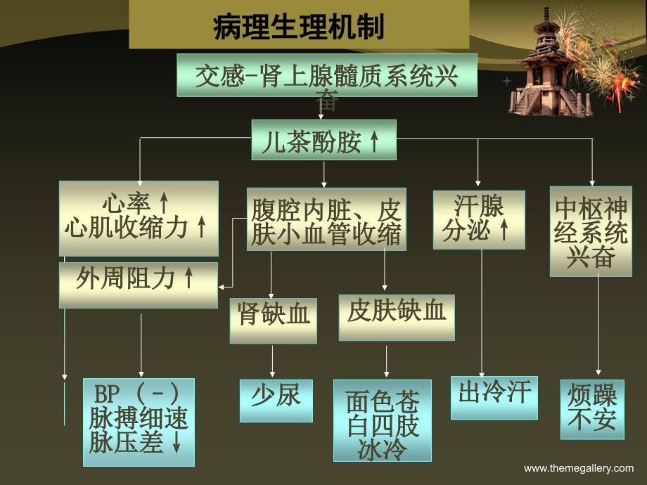 低血容量性休克_第4页