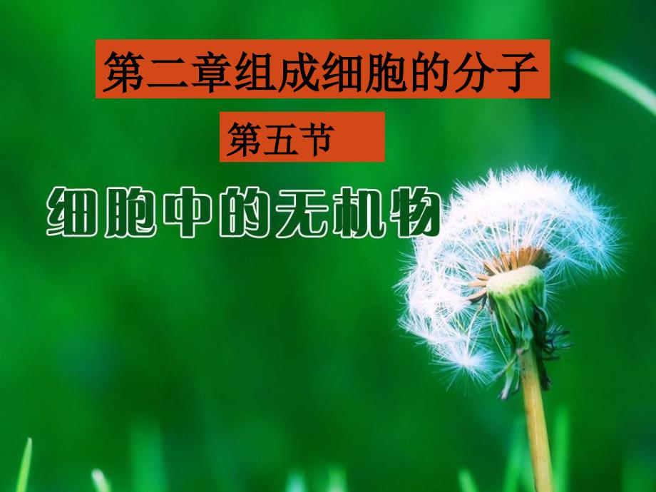 25细胞中的无机物上课用_第1页