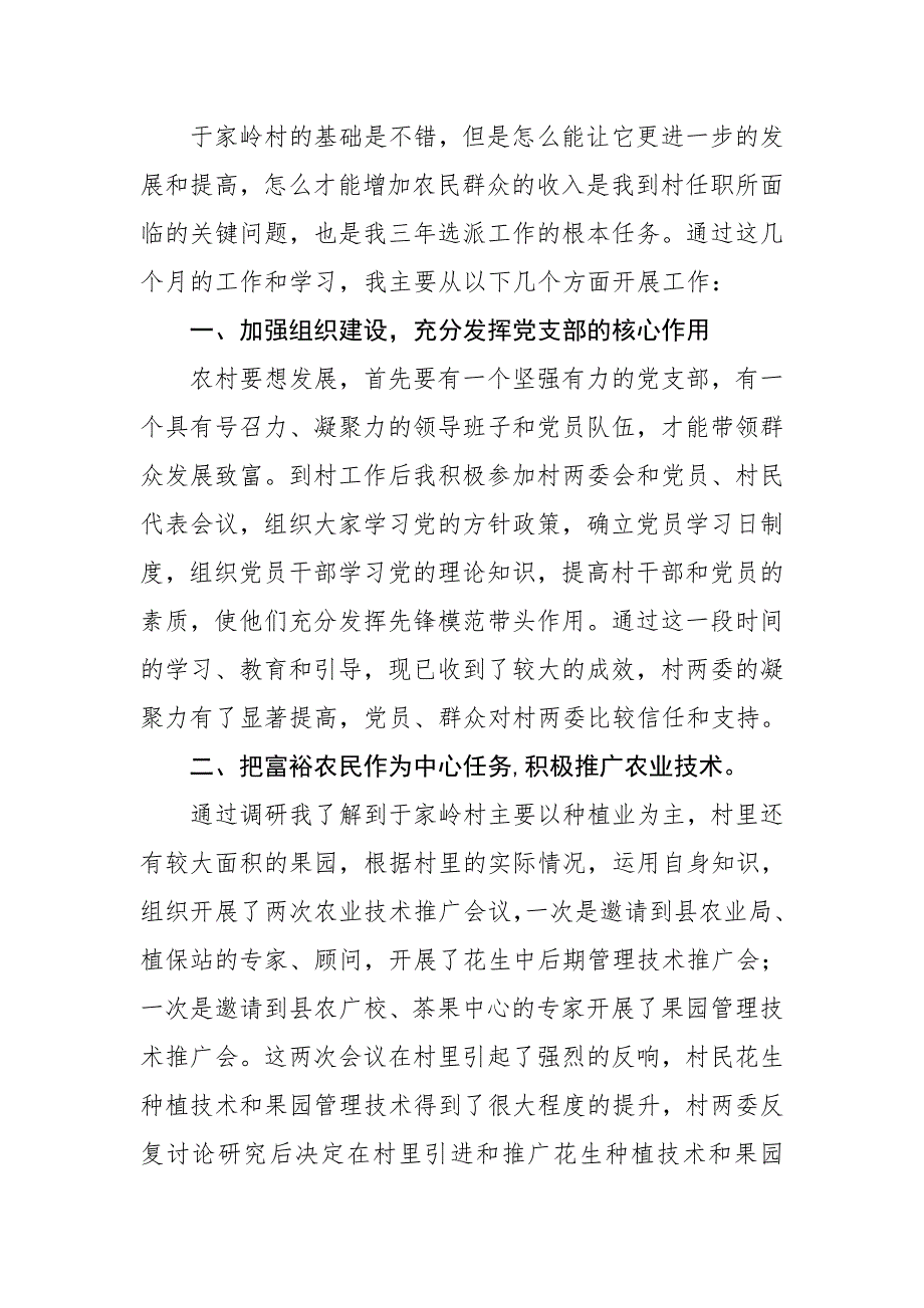 于家岭村_第一书记_工作总结_第2页