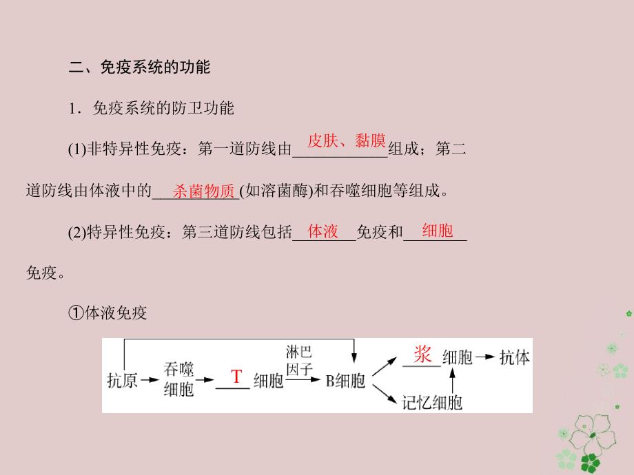 2019版高考生物一轮总复习 第2章 动物和人体生命活动的调节 第4节 免疫调节课件 必修3_第3页