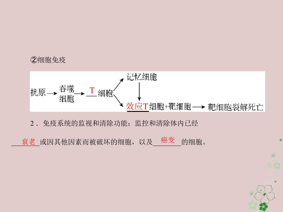 2019版高考生物一轮总复习 第2章 动物和人体生命活动的调节 第4节 免疫调节课件 必修3_第4页