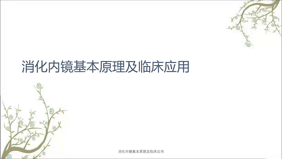 消化内镜基本原理及临床应用_第1页