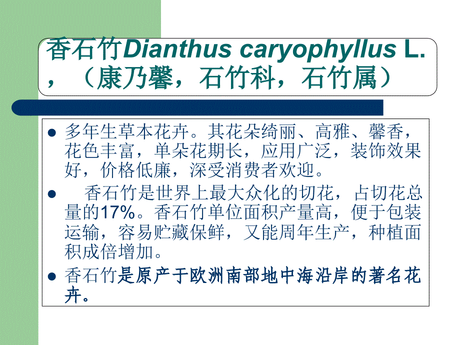 香石竹生产PPT课件_第1页