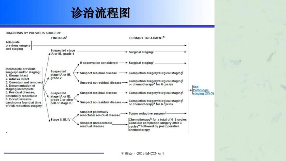 卵巢癌NCCN解读_第3页