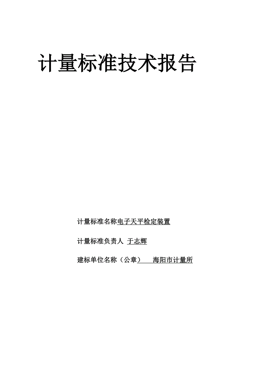 电子天平检定装置技术报告_第2页