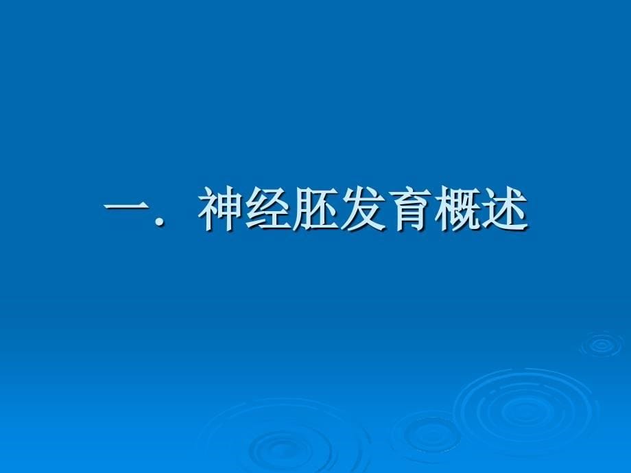 jc神经系统发育PPT课件_第5页