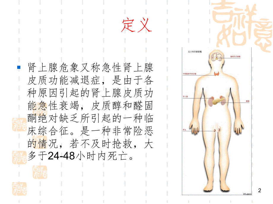 肾上腺素危象急救与护理PPT精品文档_第2页