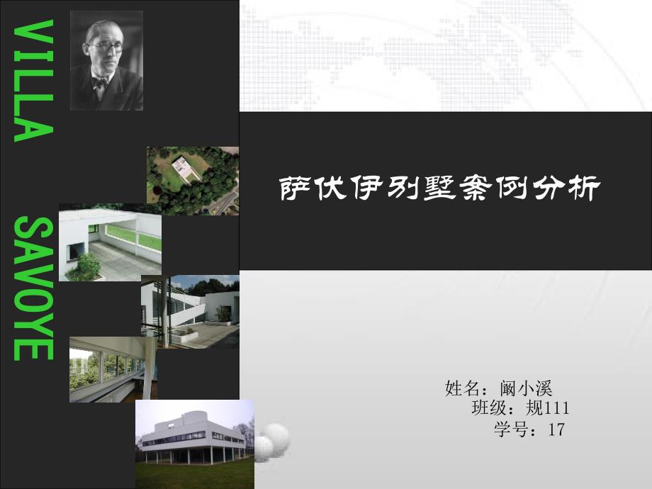 萨夫一别墅案例分析课件_第1页