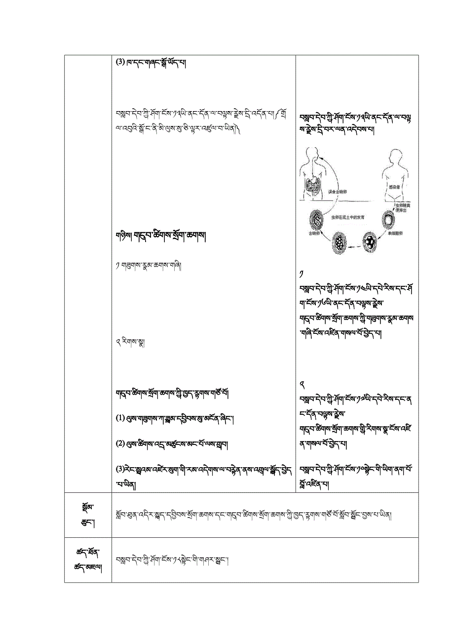 线形动物和环节动物_第3页