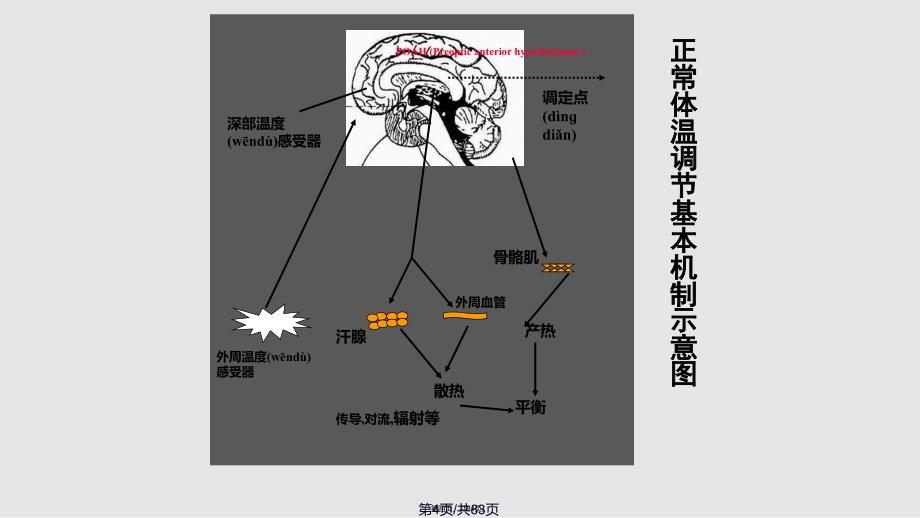 fever新五年制公开课实用教案_第4页