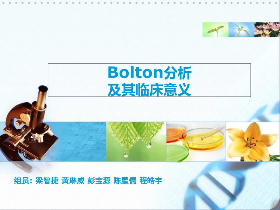 Bolton指数分析PPT课件_第1页