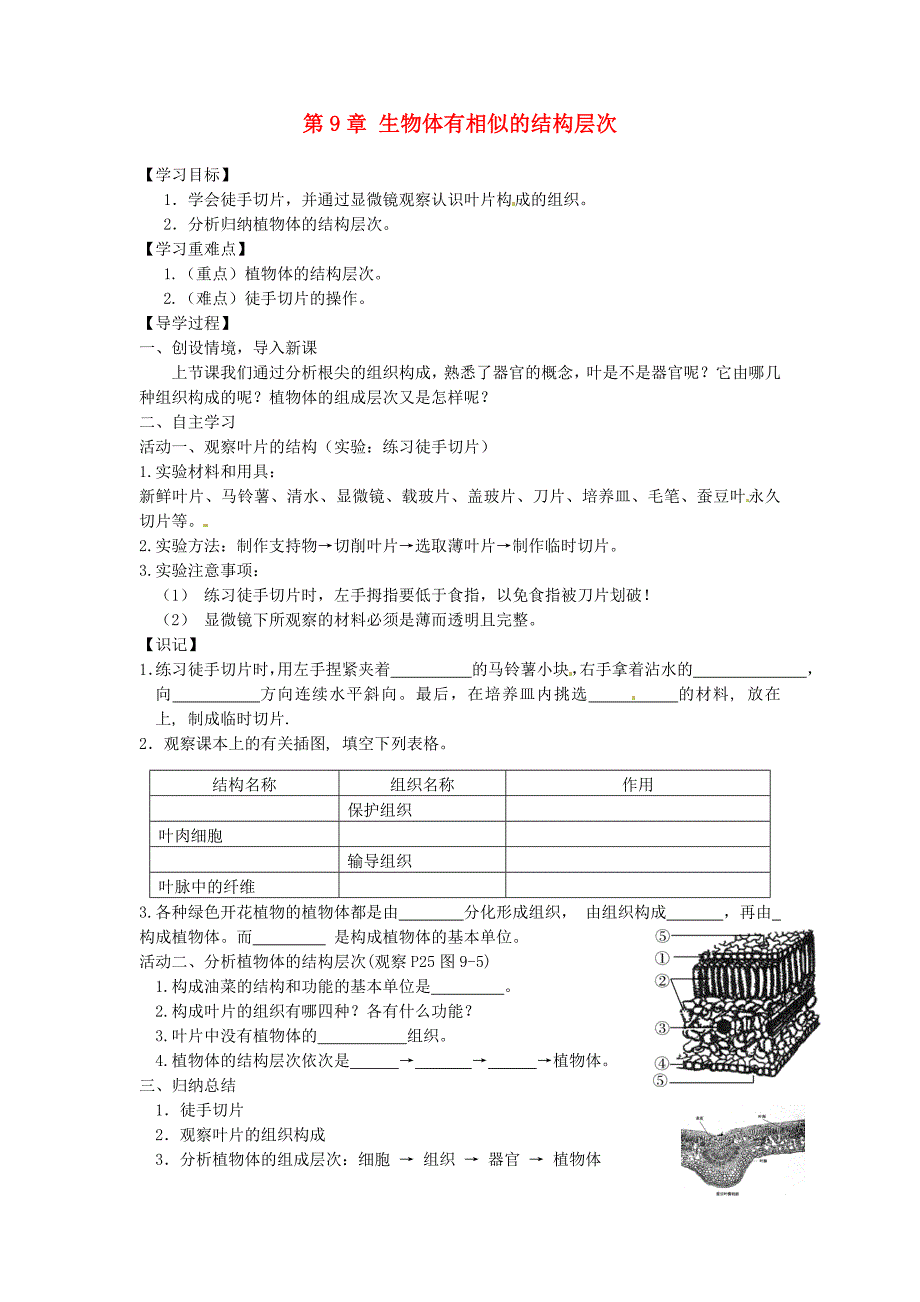江苏省铜山区七年级生物下册第9章生物体有相似的结构层次学案2无答案新版苏科版通用_第1页