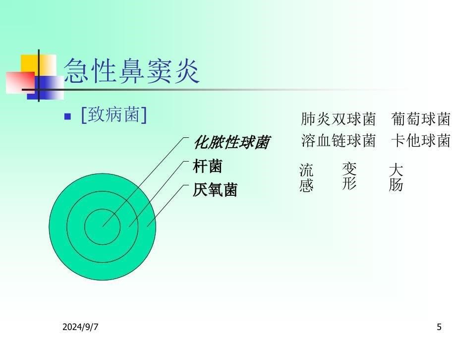 耳鼻咽喉头颈外科学二急慢性鼻窦炎_第5页