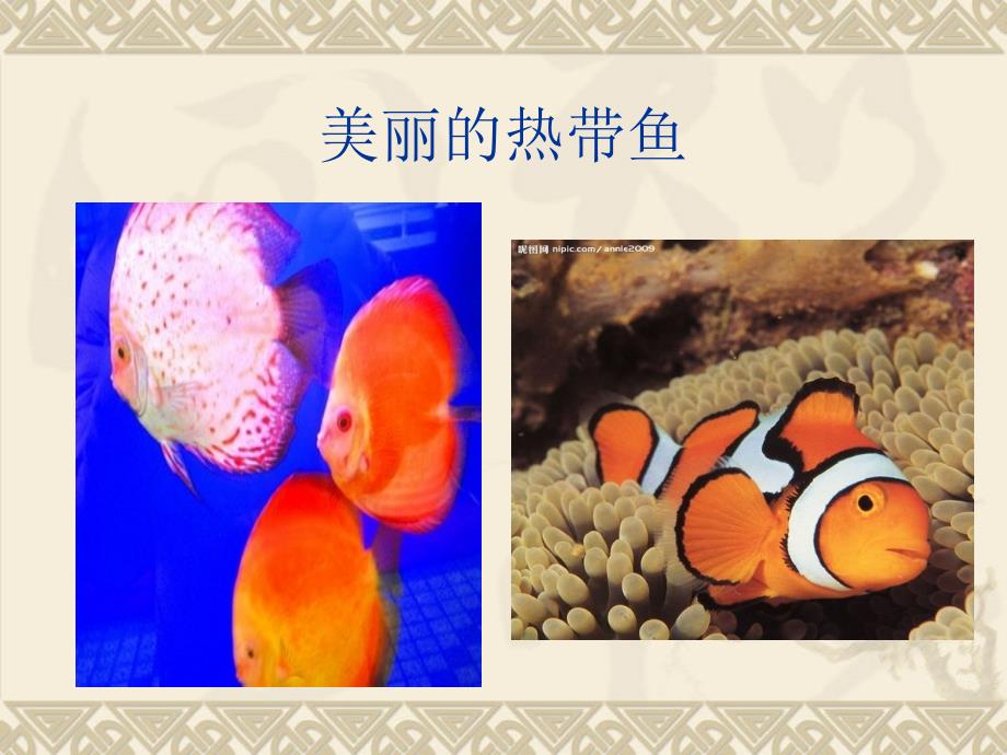 幼儿园大班绘画奇妙的海底世界_第3页