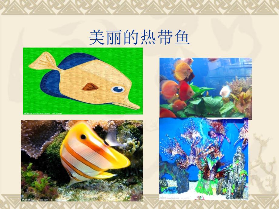 幼儿园大班绘画奇妙的海底世界_第4页