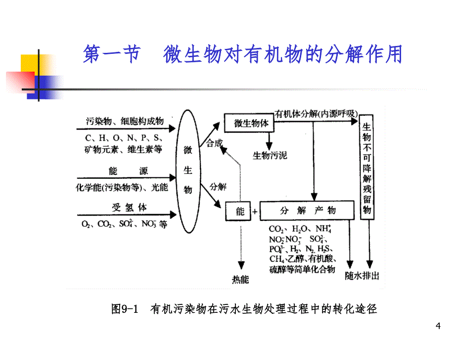 微生物对污染物的分解与转化PPT精品文档_第4页