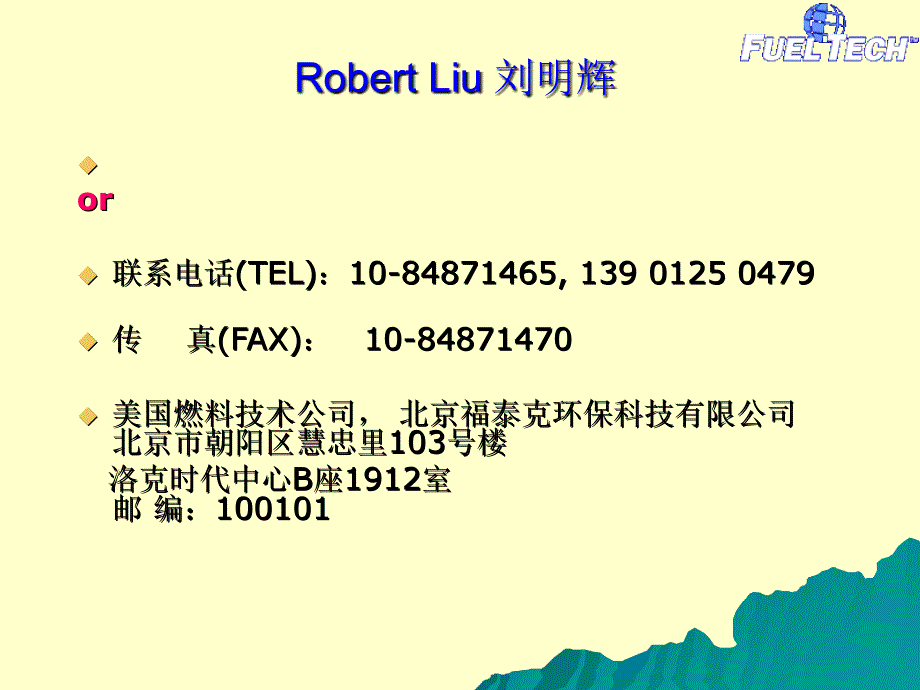 演讲版---脱硝技术方案选择课件_第2页