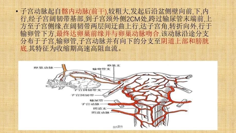 子宫动静脉瘘课件_第5页