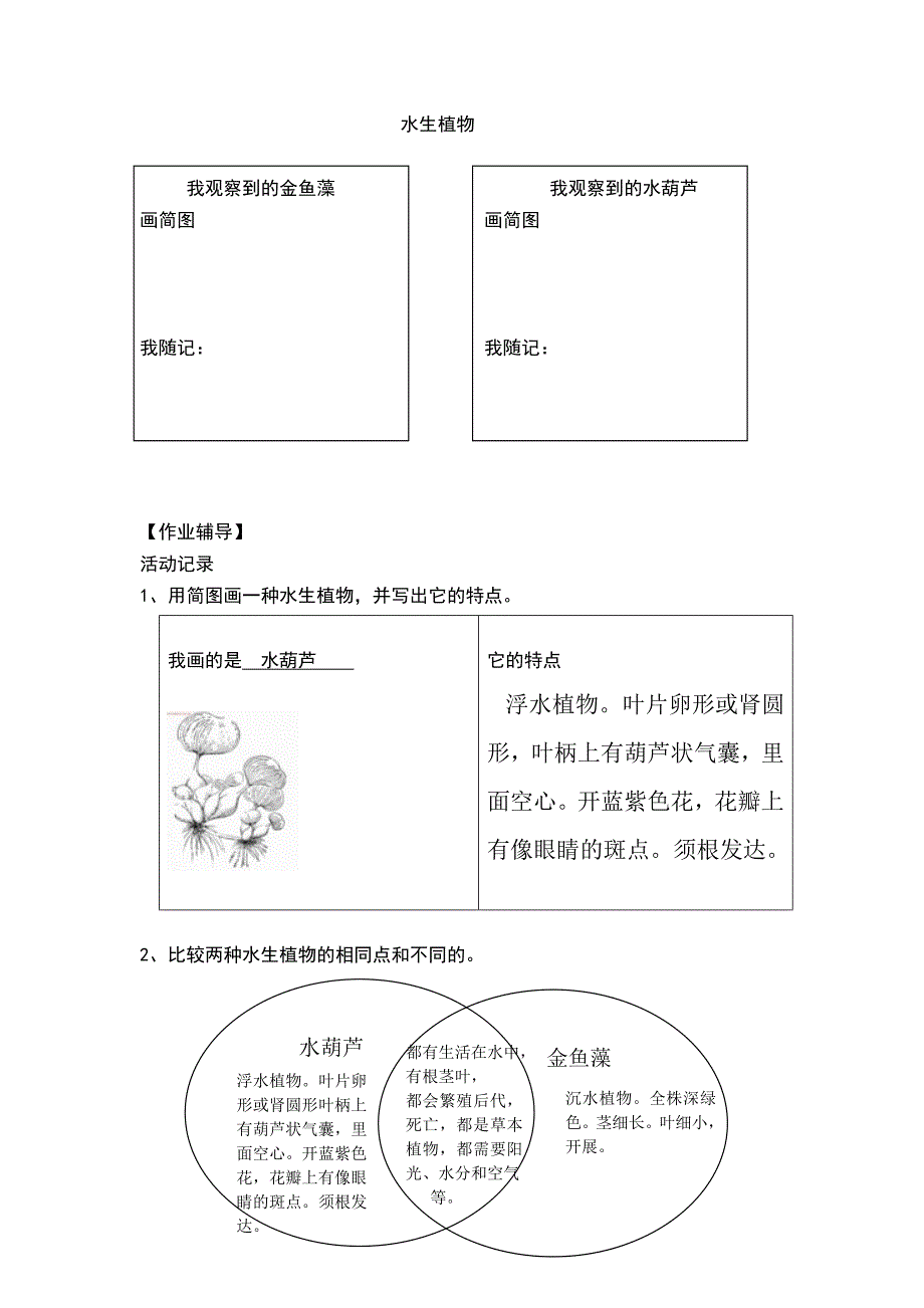 水生植物-基础课教案_第5页