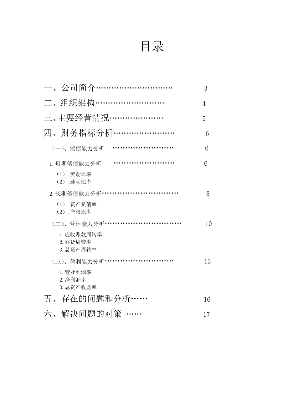 银座集团财务报表分析_第2页