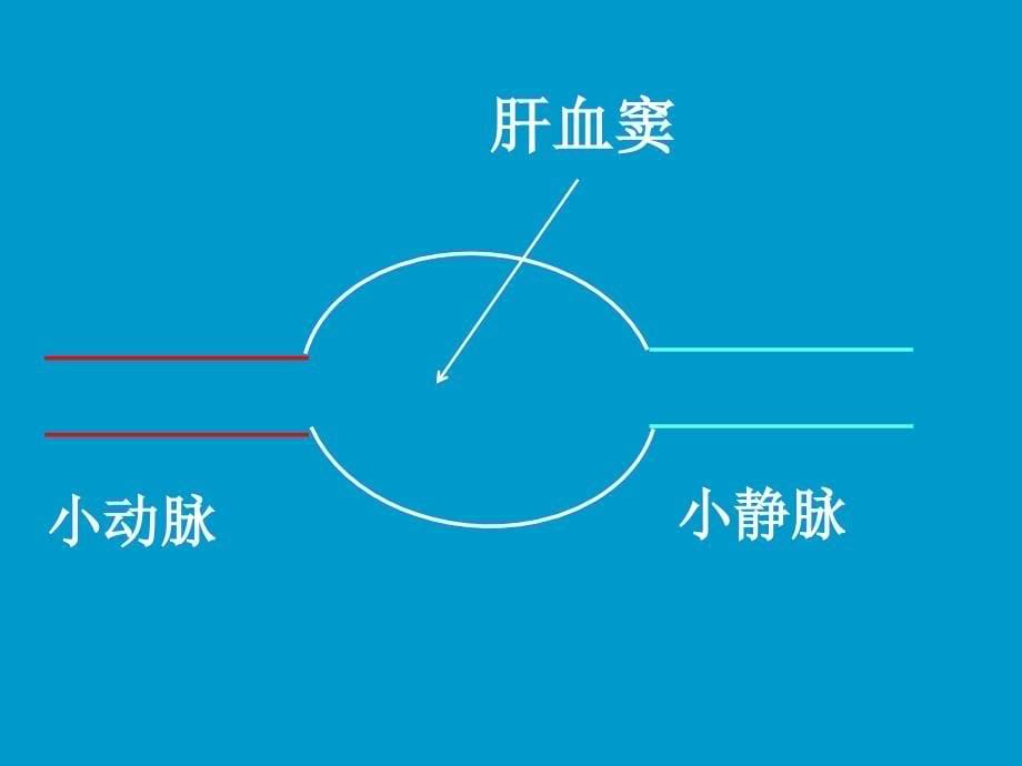 肝胆生物化学课件2_第5页