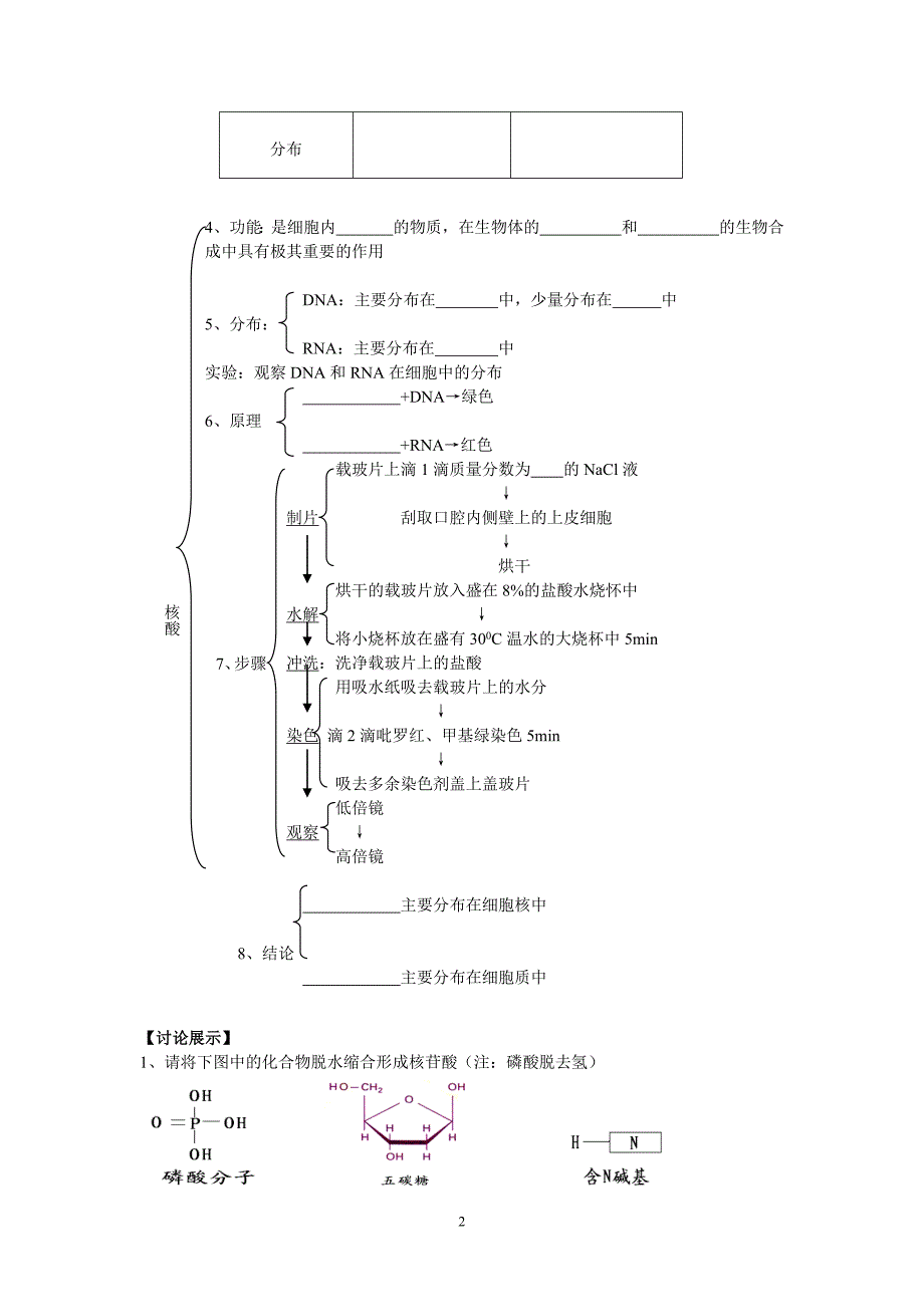 高中生物必修一2[1].3_核酸导学案.doc_第2页