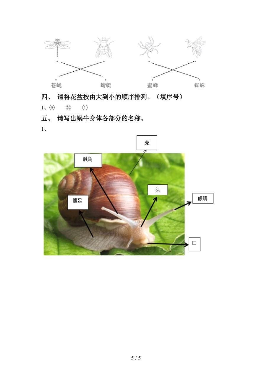 湘教版一年级科学上册期中试卷【加答案】.doc_第5页