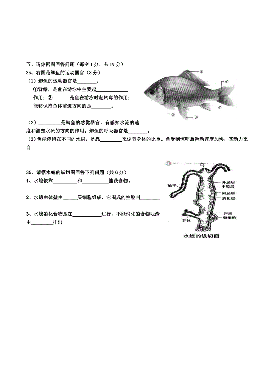 生物人教版初中二年级上册-八年级上册生物第一章测试题_第4页