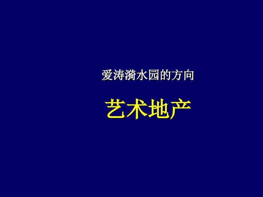 爱涛漪水园广告推广预案课件_第5页