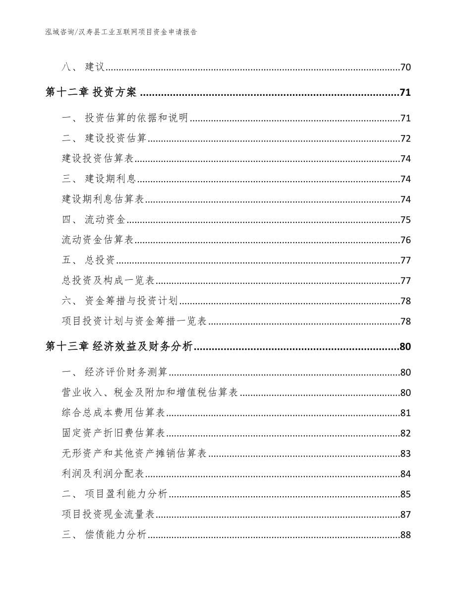 汉寿县工业互联网项目资金申请报告_模板范文_第5页