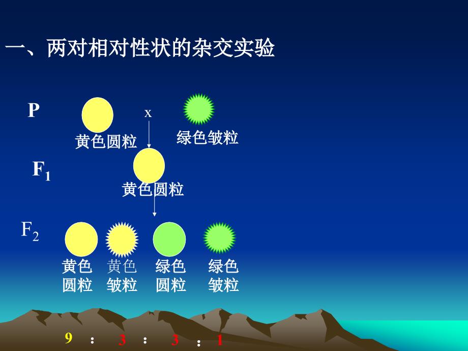 对自由组合现象的解释西乡二中张锋.ppt_第1页