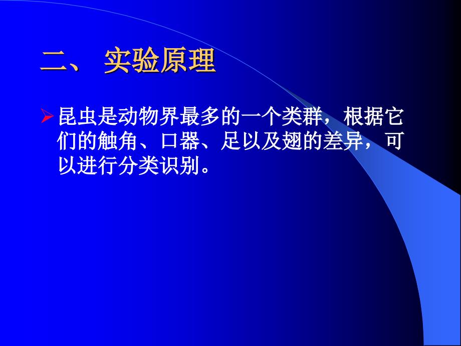 实验三昆虫的形态特征与分类1_第3页