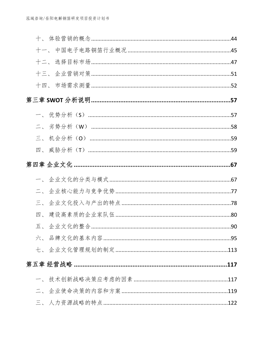 岳阳电解铜箔研发项目投资计划书_第2页