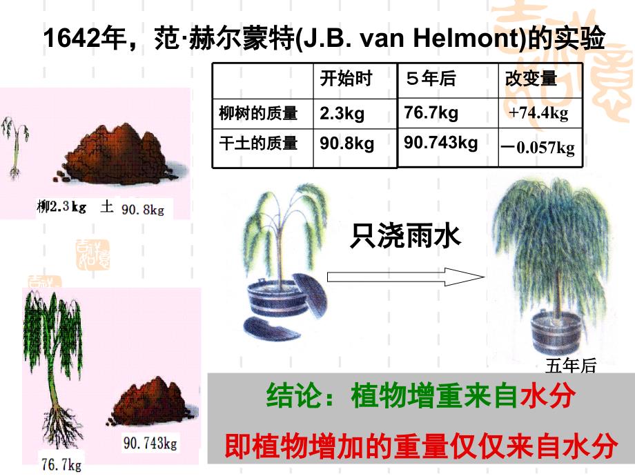 光合作用成七冯教学用_第4页