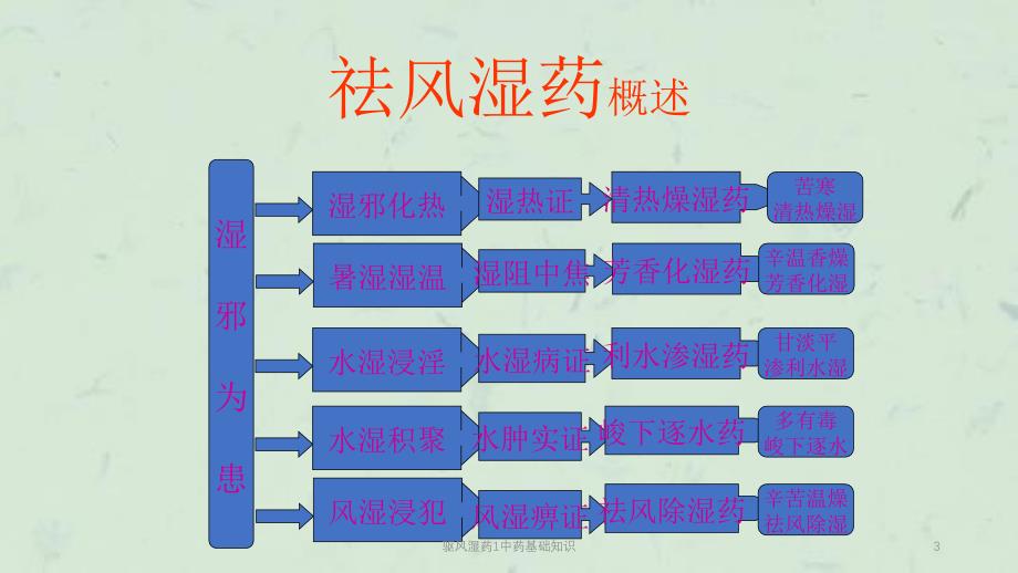 驱风湿药1中药基础知识课件_第3页