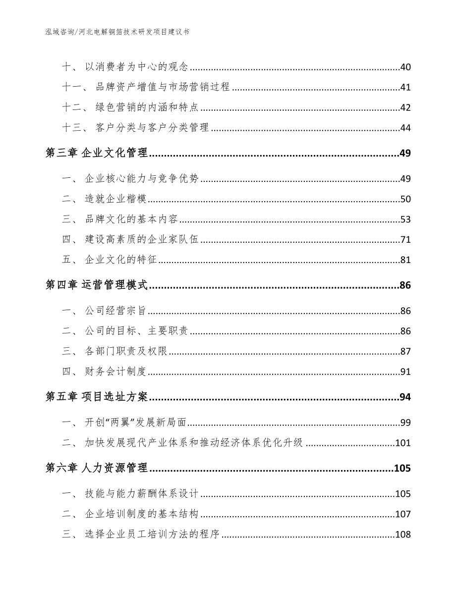 河北电解铜箔技术研发项目建议书【模板参考】_第2页