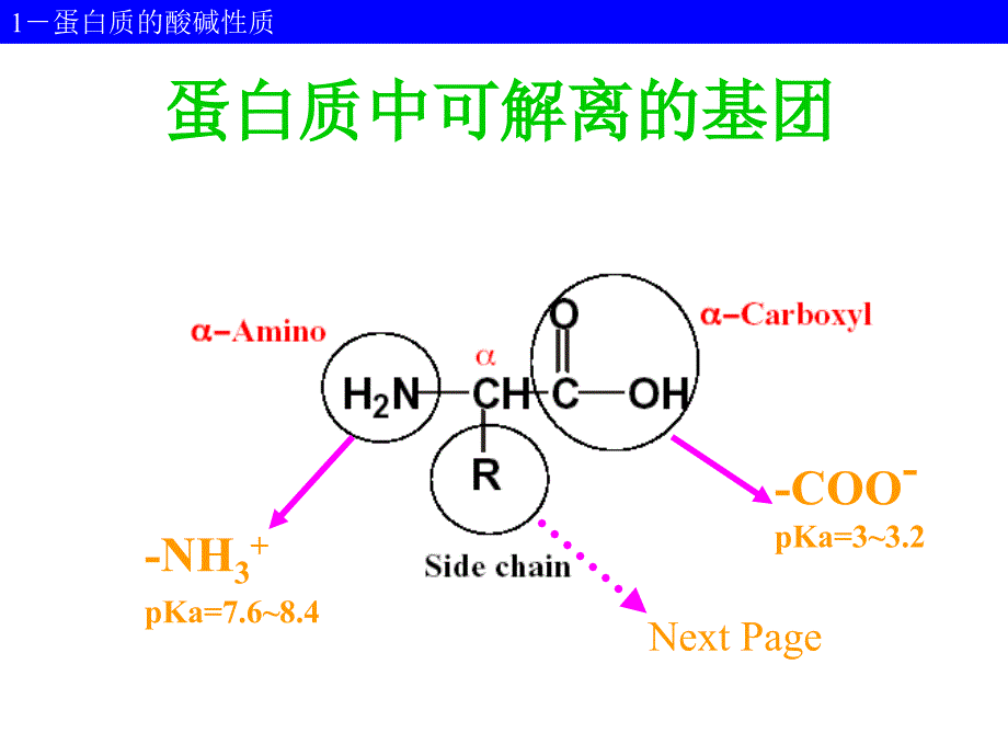 第7章蛋白质分离纯化_第4页